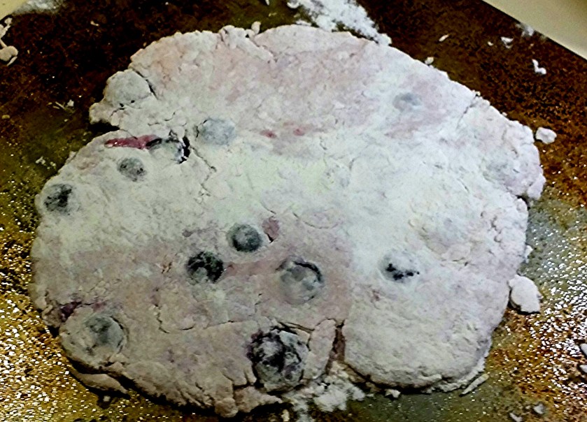 blueberry cheddar pizza yogurt crust4